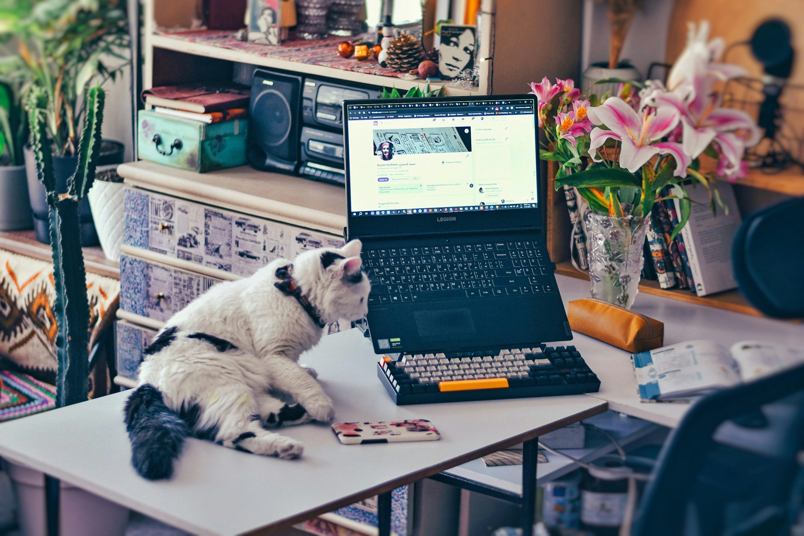 Cartimar Pet Shop Online