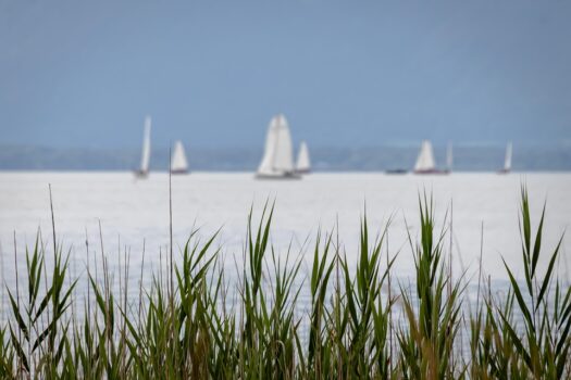 Regatta Online Shop